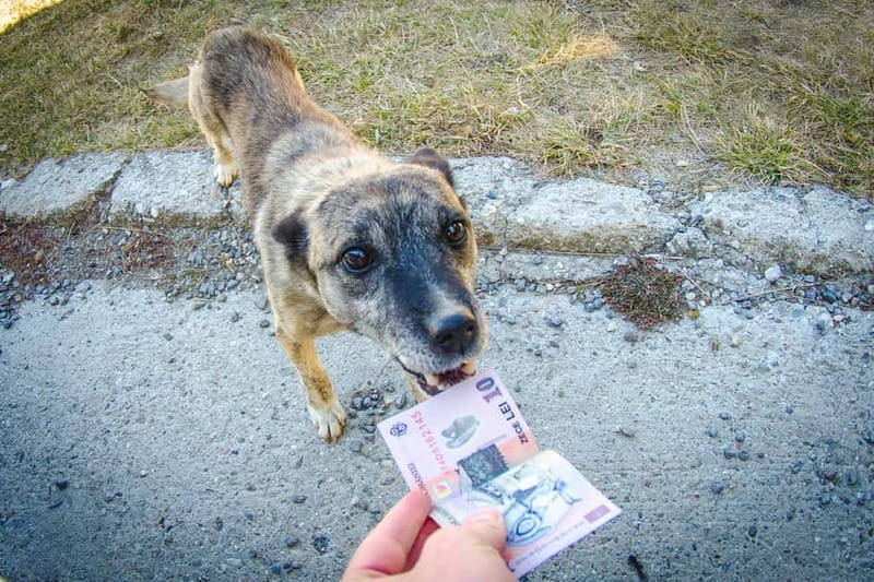 Cluj-Napoca Urban Photography for Beginners Workshop - The Itinerary: What to Expect from Start to Finish