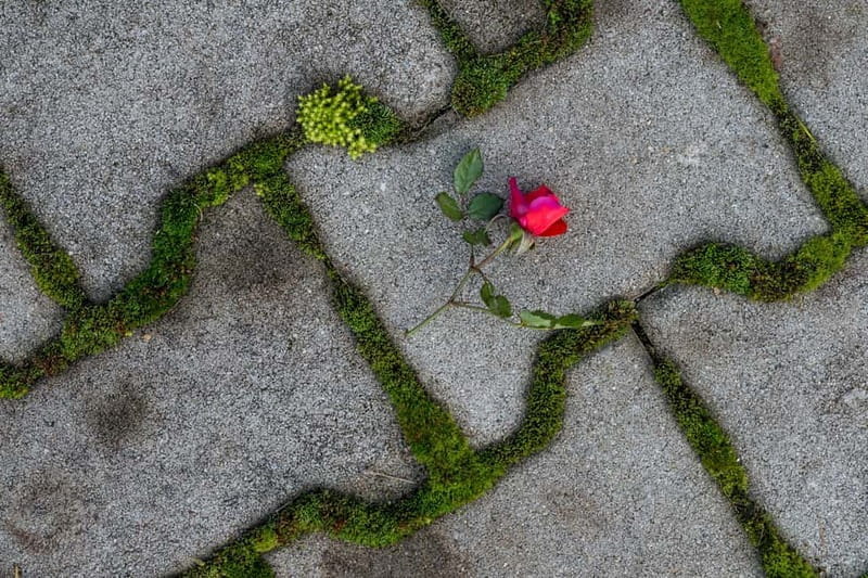 Cluj-Napoca Urban Photography for Beginners Workshop - Whos This Workshop Perfect For?