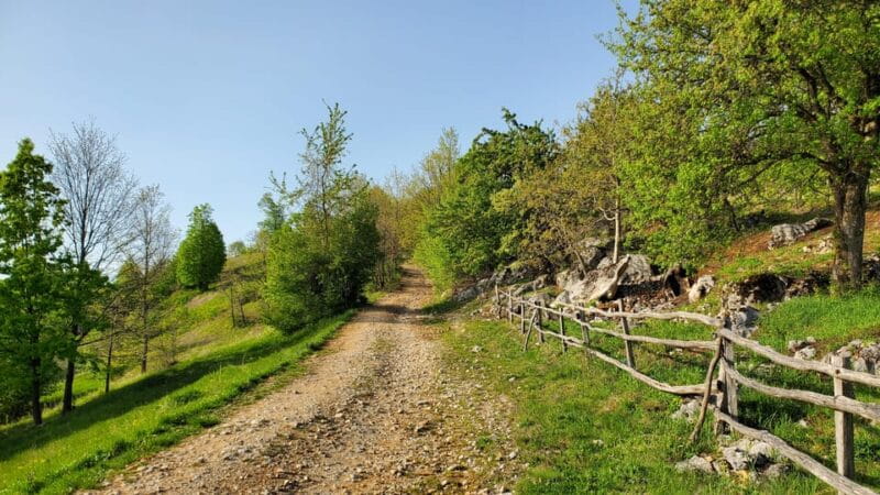 Cluj to Rosia: Day Trip to Ferrata and pittoresque country - Final Thoughts: Is It Worth It?