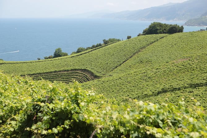 Coast, fish and txakoli wine - Who Will Appreciate This Tour Most?
