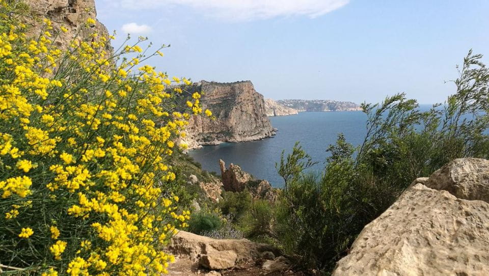 Coastal Cliffs & Beaches: Private Full Day Tour - Things To Know