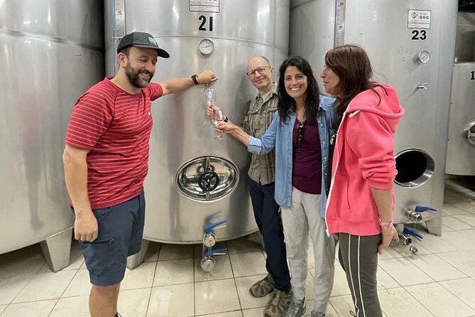 Coastal Winery Camino Trail Walking Tour From San Sebastian - Exploring the Txakoli Winery