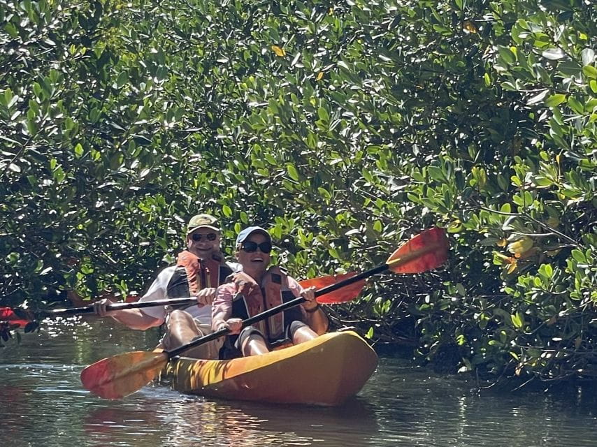 Cocoa Beach: Daytime Guided Kayak Eco-Tour - Experience Highlights