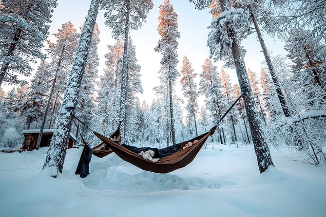 Cocooning in the HaliPuu forest: The ultimate Arctic hammock relaxation - The Experience in Detail