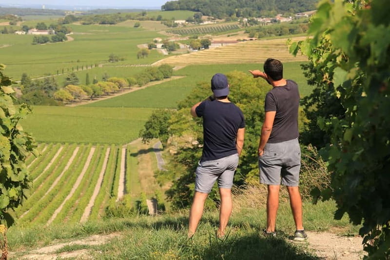 Cognac: Discover the vineyards in a 4x4 and enjoy a cocktail - Final Thoughts: Is It Worth It?
