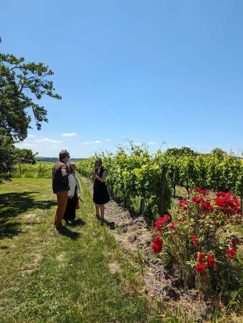 Cognac guided tour of the vineyard and visit/tasting at a winemaker's estate - Who Will Enjoy This?
