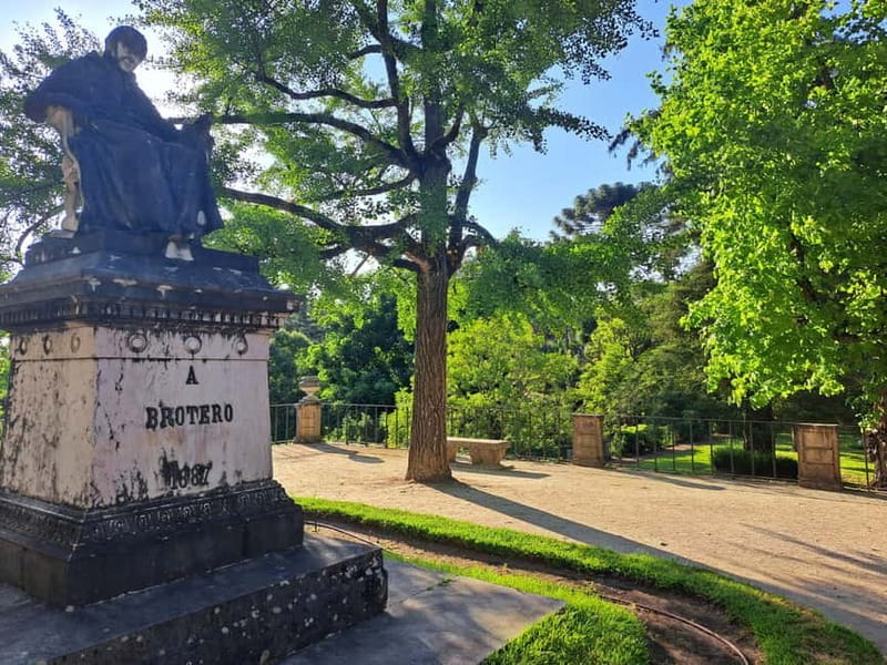 Coimbra Botanical Garden Tour: Storytelling Through Nature - Entering Coimbra’s Green World: From the Monumental Stairs to the Garden