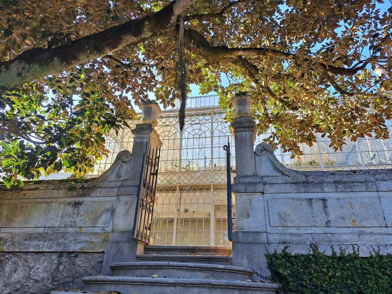 Coimbra Botanical Garden Tour: Storytelling Through Nature - The Importance of the Guided Element