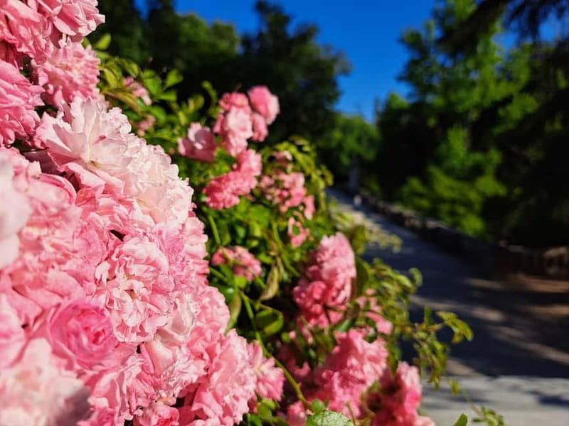 Coimbra Botanical Garden Tour: Storytelling Through Nature - Practical Details: Logistics, Price, and Tips