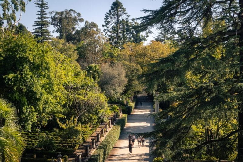 Coimbra: Flexible Walking Tour in Historic Center - Historic Streets, Churches, and Final Strolls