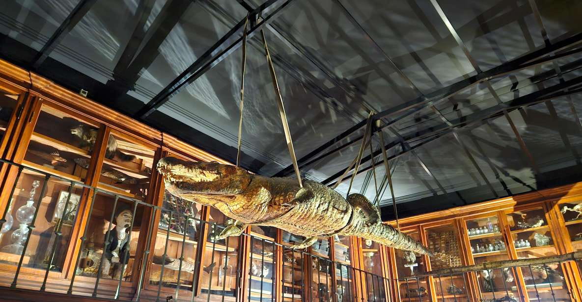 COIMBRA FULL DAY PRIVATE TOUR FROM LISBON - Coimbras Historical Significance