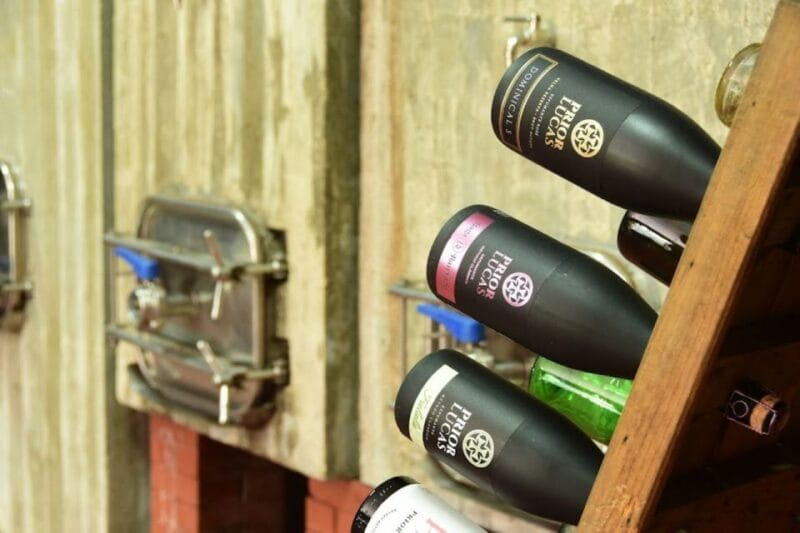 Coimbra: Prior Lucas Wine Experience - Key Points / Takeaways