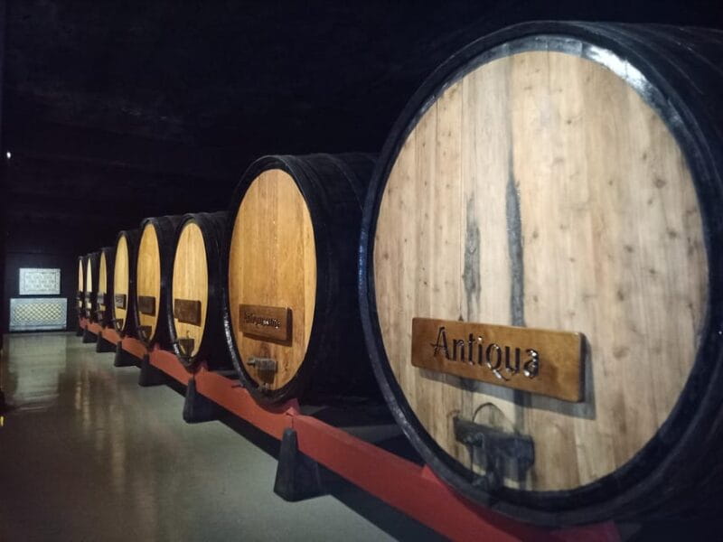 Coimbra: Rota da Bairrada gastronomic tour - Who Will Love This Tour?