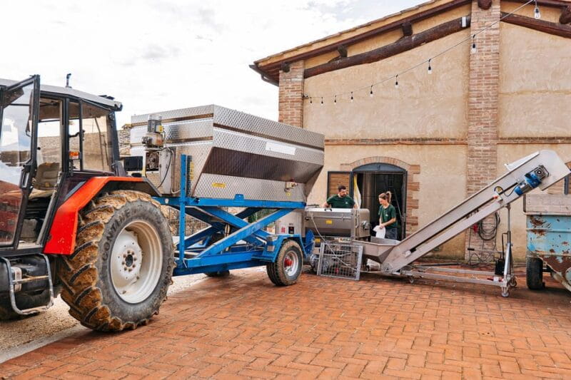 Colle Val d'Elsa: tour and a tasting of an authentic farm - The Value of the Experience