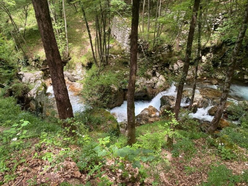 Collepardo: Trisulti Charterhouse and Hermitage Guided Hike - Key Points / Takeaways