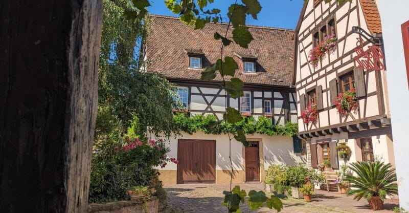 Colmar: Unusual Walking Tour with a local guide - Exploring the Southern District and German Imperial Legacy