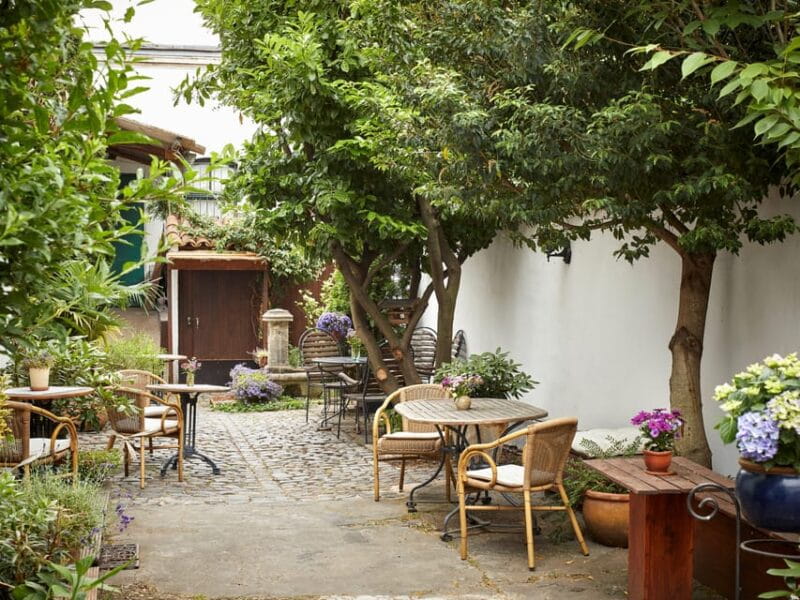 Cologne-Nippes: Summer wine party in the frenchstyle garden - Who Will Love This Experience?