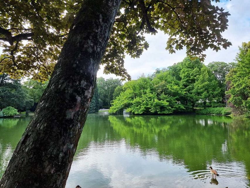 Cologne Volksgarten Audio Rally by P.I. Sir Peter Morgan - Key Features Explored