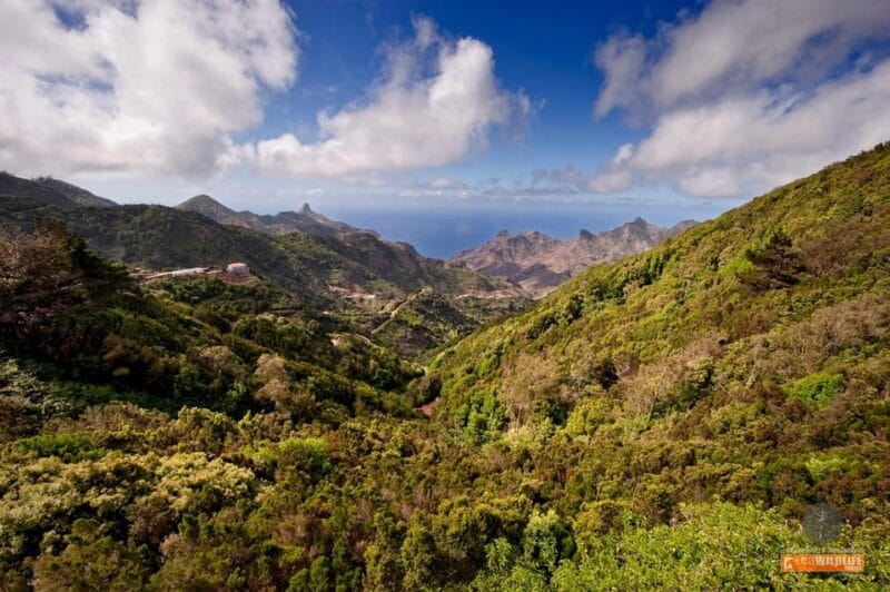 Colon Skies - Exploring the Heart of La Gomera
