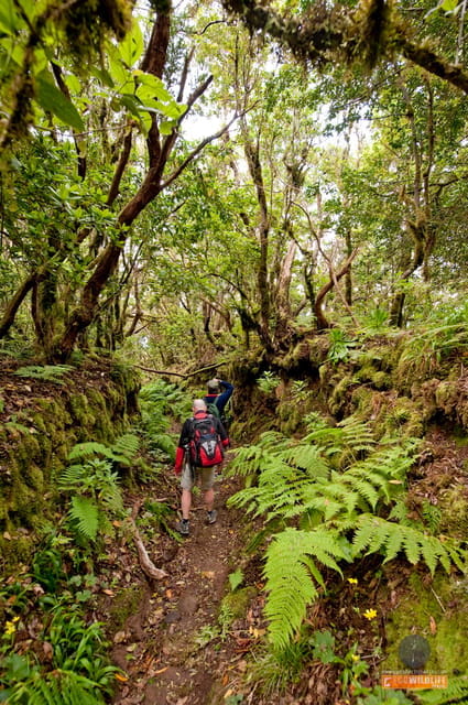 Colon Skies - Who Will Love This Tour?