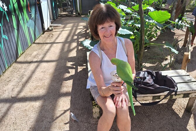 Colorful Species Of Birds - Key Points