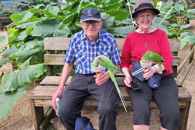 Colorful Species Of Birds - Stellar Customer Reviews