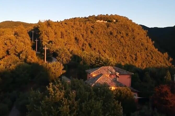 Colorful Tagliatelle & Walnut Ravioli  Home Cooking in Spoleto - Analyzing the Value and Price