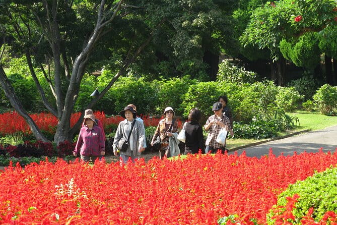 Colors of Japan, Fukuoka Nokonoshima Island Park & Wagyu BBQ - Key Points