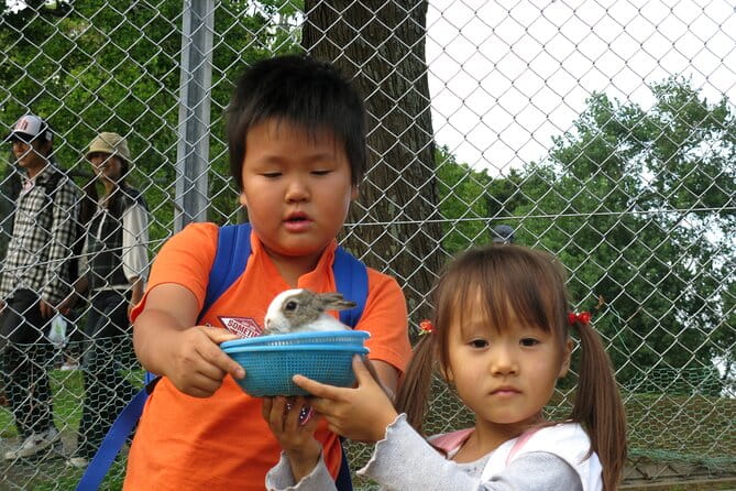Colors of Japan, Fukuoka Nokonoshima Island Park & Wagyu BBQ - Nokonoshima Island Park