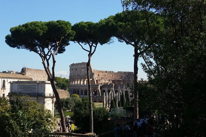 Colosseum and Roman Forum Private Tour led by an archaeologist - Is This Tour Worth Its Price?