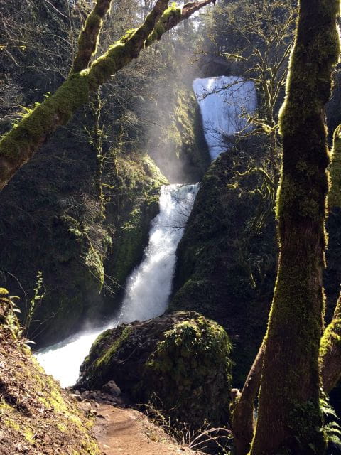 Columbia River Gorge Half-Day Small-Group Hiking Tour - Important Information