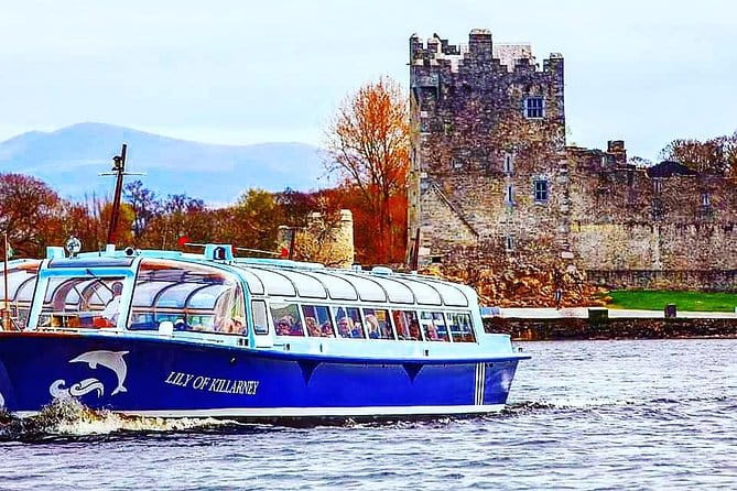 Combination Killarney Jaunting Car Tour and Lakes of Killarney Cruise - Potential Drawbacks to Consider