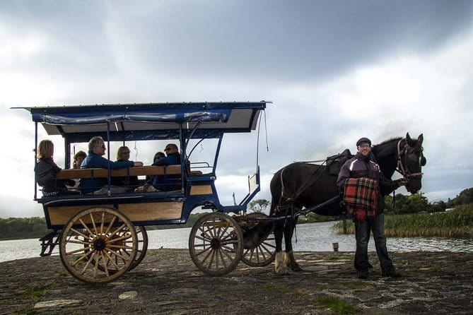 Combination Killarney Jaunting Car Tour and Lakes of Killarney Cruise - Final Thoughts