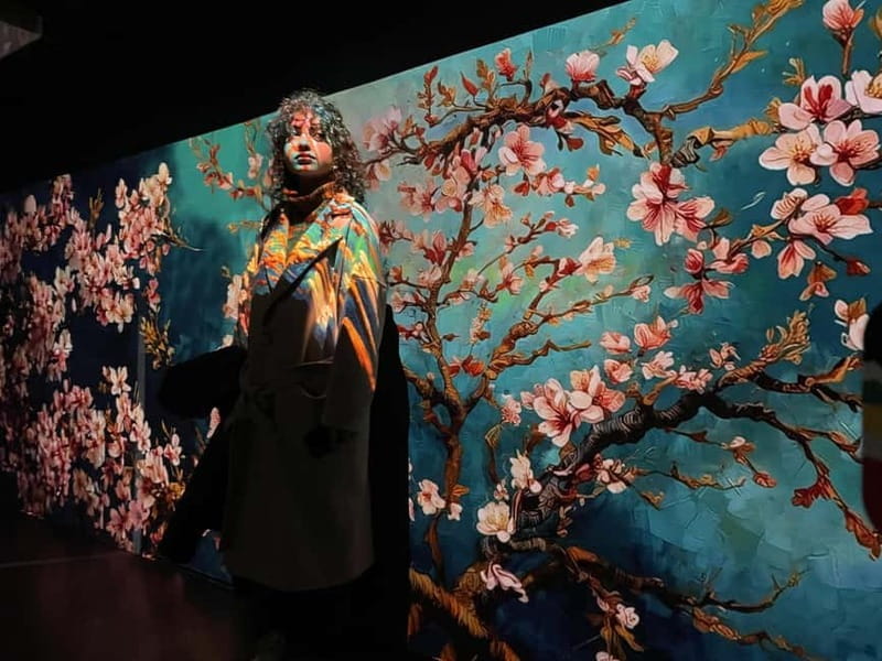 Combined ticket: Digital Exhibition & Museum of Illusions - Final Thoughts: Who Should Consider This?