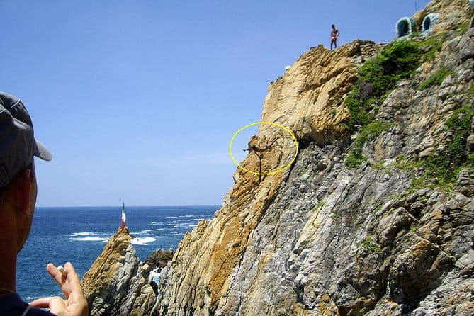 Combo 6 Hr Tour All City Highlights Divers Baby Turtle Release - FAQs