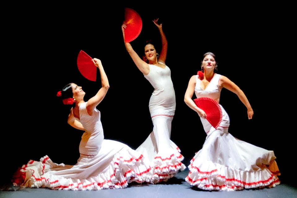 Combo: Hop on Hop off + Flamenco Show & Walking Tours - Important Information