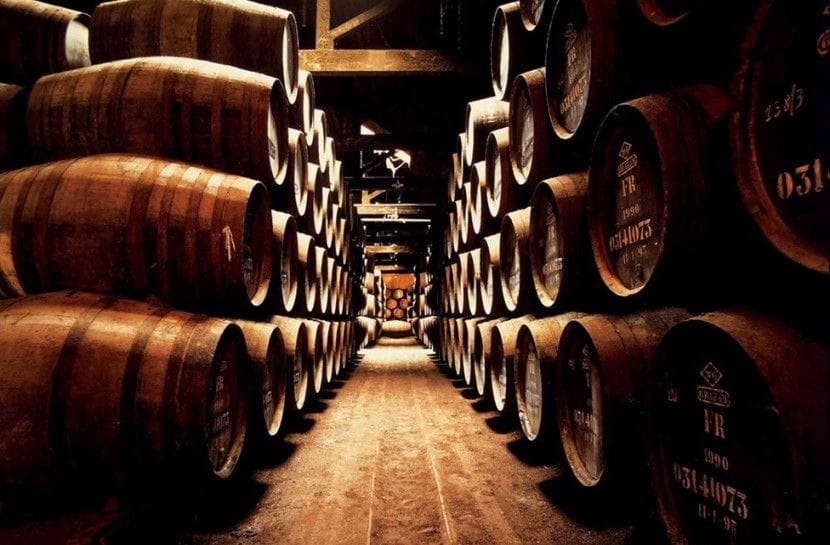 Combo: Porto City Half-Day Tour & Aveiro Half-Day Tour - Port Wine Tasting