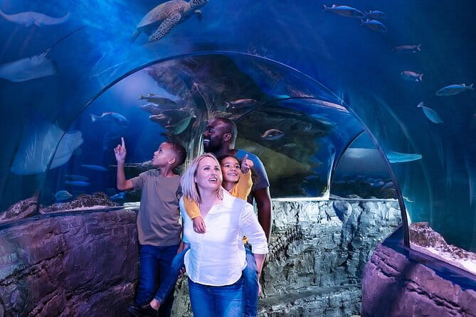 Combo Ticket: Madame Tussauds & SEA LIFE London Aquarium - Final Thoughts: Is This Combo Worth It?