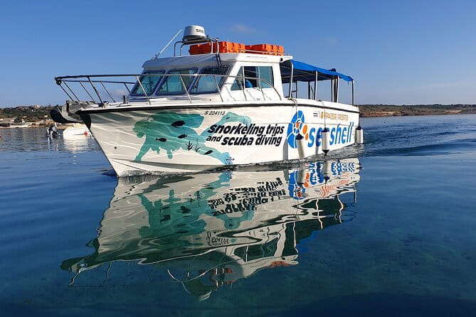 Comino Guided Snorkeling Experience - Exploring the Underwater World of Comino