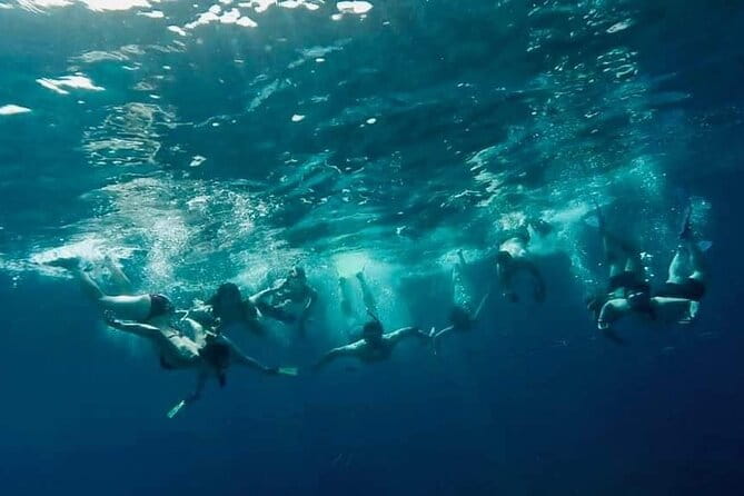 Comino Guided Snorkeling Experience - Who Will Love This Tour?