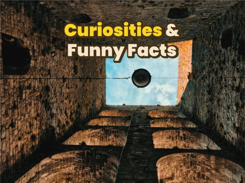 Como: Digital Audioguide made with a Local for your Tour - Who Will Love This Experience?