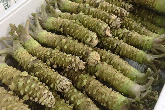 Complete Tuna Auction & Toyosu Fish Market Tour - Participant Feedback and Reviews