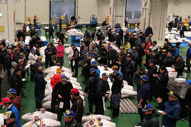 Complete Tuna Auction & Toyosu Fish Market Tour - Exploring the Toyosu Fish Market