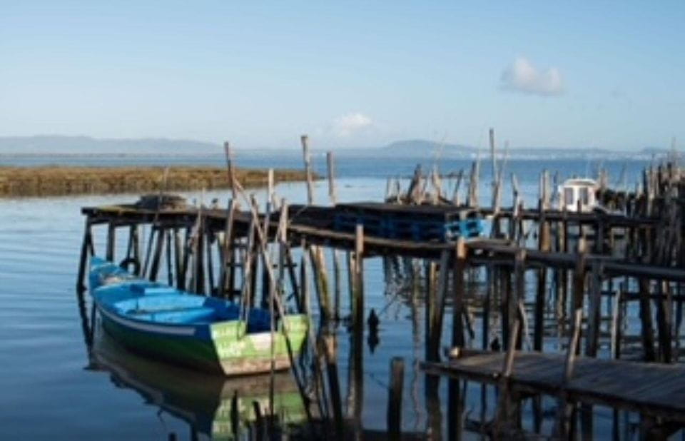 Comporta to Arrábida Coast and Troia - Meeting Point