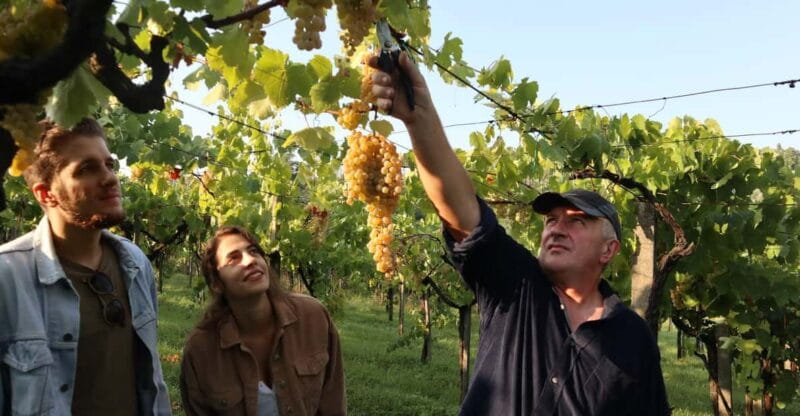 Contadina Breakfast at a Farm - 30 min from Rome - Key Points and Takeaways