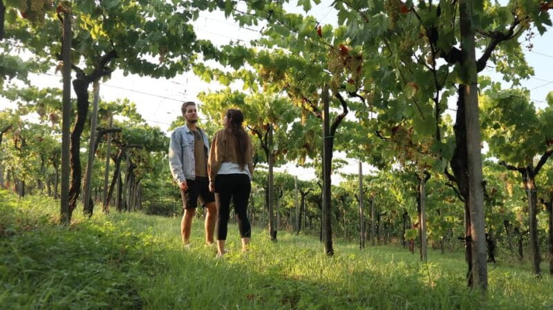 Contadina Breakfast at a Farm - 30 min from Rome - Logistics: Making It Work for You