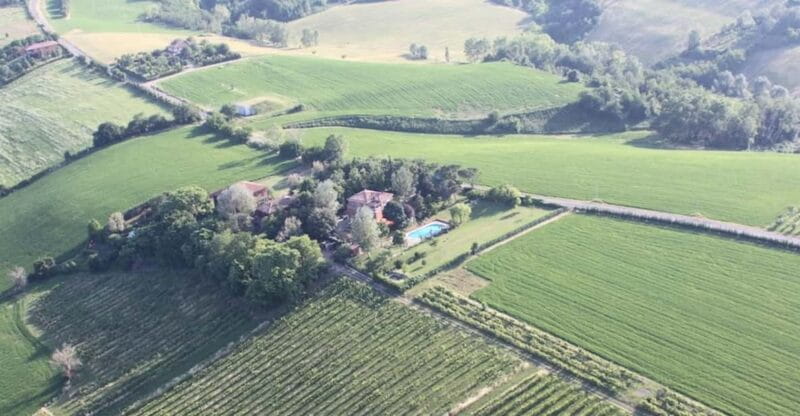 Cook Bolognese Dishes in a Splendid Villa - Key Points / Takeaways