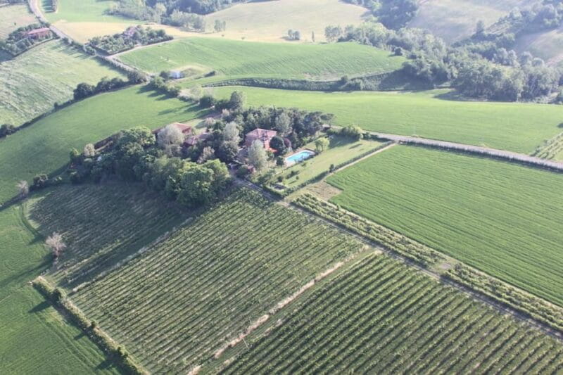 Cook Bolognese Dishes in a Splendid Villa - An In-Depth Look at the Experience