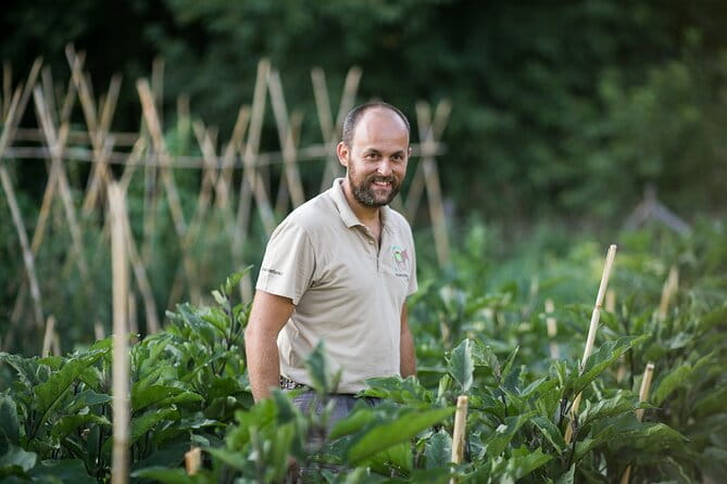 Cook like a local Greek Cooking lesson in Mt Pelion Greece - Ideal for Who?