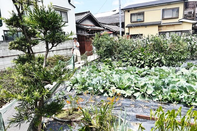 Cook Michelin Grade Tempura & Miso Soup - Booking and Pricing Information
